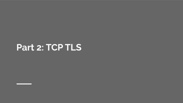 Part 2: TCP TLS
