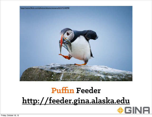 Puﬃn Feeder
h p://feeder.gina.alaska.edu
http://www.ﬂickr.com/photos/alessiomesiano/6227234098/
Friday, October 18, 13

