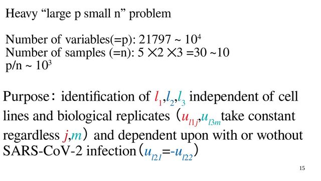 15
Purpose： identification of l
1
,l
2
,l
3
independent of cell
lines and biological replicates （u
l1j
,u
l3m
take constant
regardless j,m） and dependent upon with or wothout
SARS-CoV-2 infection（u
l21
=-u
l22
）
Heavy “large p small n” problem
Number of variables(=p): 21797 ~ 104
Number of samples (=n): 5 ⨉2 ⨉3 =30 ~10
p/n ~ 103
