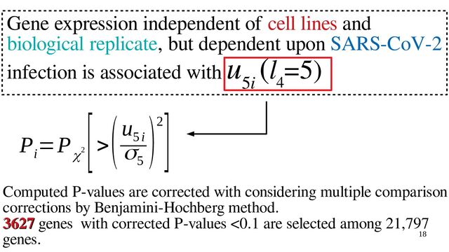18
Gene expression independent of cell lines and
biological replicate, but dependent upon SARS-CoV-2
infection is associated with u
5i
(l
4
=5)
P
i
=P
χ2
[>
(u
5i
σ5
)2]
Computed P-values are corrected with considering multiple comparison
corrections by Benjamini-Hochberg method.
3627
3627 genes with corrected P-values <0.1 are selected among 21,797
genes.
