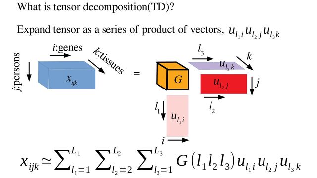 What is tensor decomposition(TD)?
Expand tensor as a series of product of vectors,
x
ijk
i:genes
j:persons
k:tissues
G
k
j
i
l
1
l
2
l
3
=
u
l
1
i
u
l
2
j
u
l
3
k
u
l
1
i
u
l
2
j
u
l
3
k
x
ijk
≃∑
l
1
=1
L
1 ∑
l
2
=2
L
2 ∑
l
3
=1
L
3 G (l
1
l
2
l
3
)u
l
1
i
u
l
2
j
u
l
3
k
