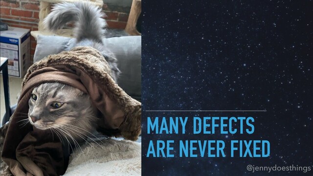 MANY DEFECTS
ARE NEVER FIXED
@jennydoesthings
