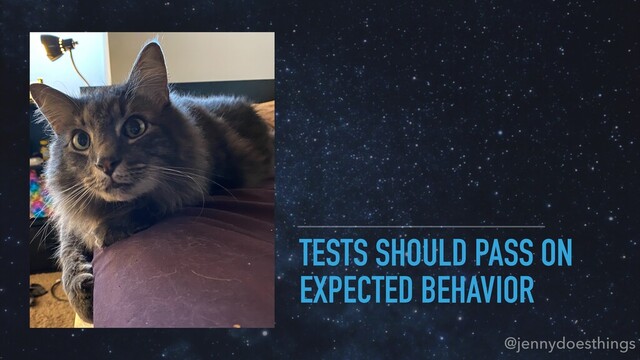 TESTS SHOULD PASS ON
EXPECTED BEHAVIOR
@jennydoesthings
