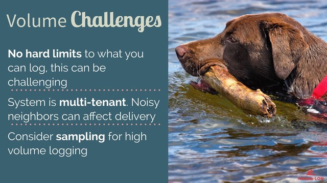 Volume Challenges
No hard limits to what you
can log, this can be
challenging
System is multi-tenant. Noisy
neighbors can aﬀect delivery
Consider sampling for high
volume logging
