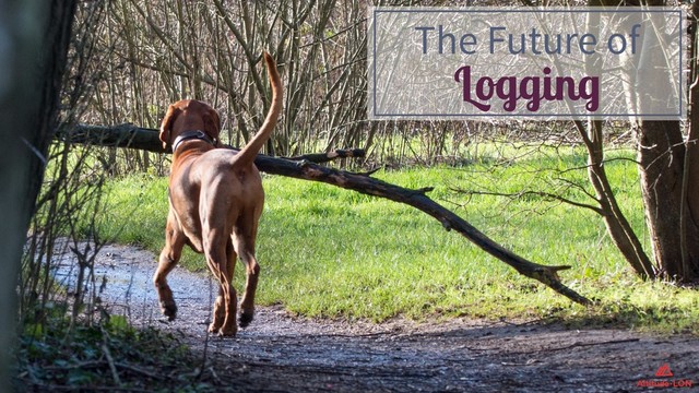 The Future of
Logging
