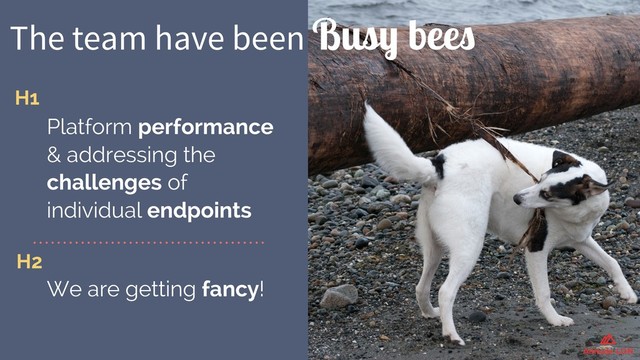 The team have been Busy bees
H2
H1
Platform performance
& addressing the
challenges of
individual endpoints
We are getting fancy!
