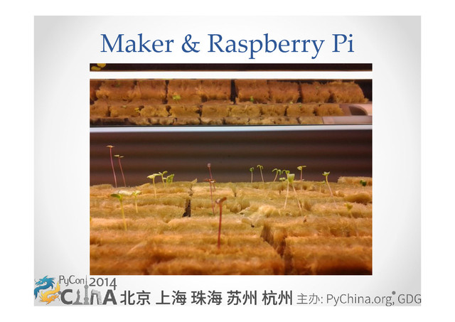 Maker & Raspberry Pi
