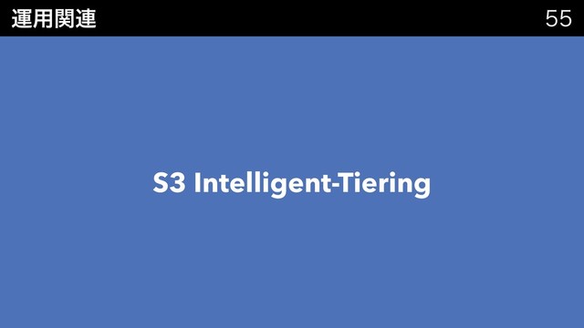 ӡ༻ؔ࿈ 
S3 Intelligent-Tiering
