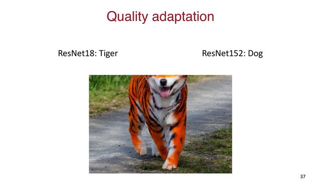 Quality adaptation
37
ResNet18: Tiger ResNet152: Dog

