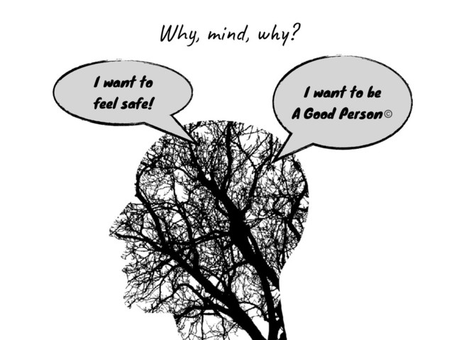 I want to be
A Good Person©
I want to
feel safe!
Why, mind, why?
