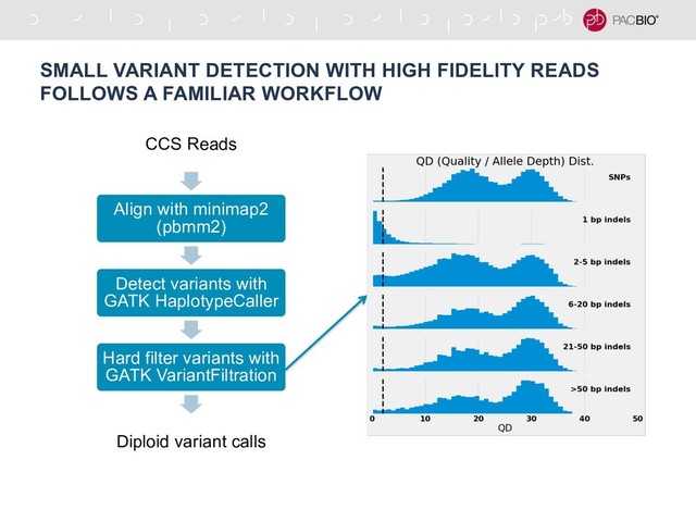 SMALL VARIANT DETECTION WITH HIGH FIDELITY READS
FOLLOWS A FAMILIAR WORKFLOW
CCS Reads
Align with minimap2
(pbmm2)
Detect variants with
GATK HaplotypeCaller
Hard filter variants with
GATK VariantFiltration
Diploid variant calls
