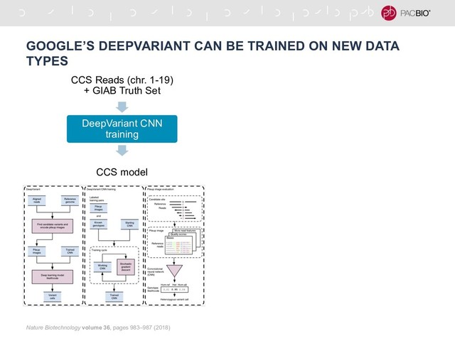GOOGLE’S DEEPVARIANT CAN BE TRAINED ON NEW DATA
TYPES
CCS Reads (chr. 1-19)
+ GIAB Truth Set
DeepVariant CNN
training
CCS model
Nature Biotechnology volume 36, pages 983–987 (2018)
