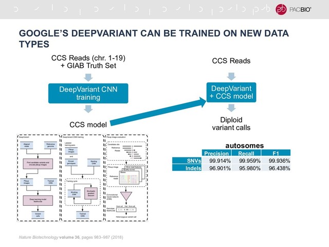 GOOGLE’S DEEPVARIANT CAN BE TRAINED ON NEW DATA
TYPES
CCS Reads (chr. 1-19)
+ GIAB Truth Set
DeepVariant CNN
training
CCS model
Nature Biotechnology volume 36, pages 983–987 (2018)
CCS Reads
DeepVariant
+ CCS model
Diploid
variant calls
Precision Recall F1
SNVs 99.914% 99.959% 99.936%
Indels 96.901% 95.980% 96.438%
autosomes
