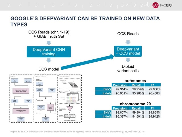 GOOGLE’S DEEPVARIANT CAN BE TRAINED ON NEW DATA
TYPES
CCS Reads (chr. 1-19)
+ GIAB Truth Set
DeepVariant CNN
training
CCS model
Poplin, R. et al. A universal SNP and small-indel variant caller using deep neural networks. Nature Biotechnology 36, 983–987 (2018)
CCS Reads
DeepVariant
+ CCS model
Diploid
variant calls
Precision Recall F1
SNVs 99.914% 99.959% 99.936%
Indels 96.901% 95.980% 96.438%
Precision Recall F1
SNVs 99.807% 99.904% 99.855%
Indels 95.387% 94.501% 94.942%
autosomes
chromosome 20
