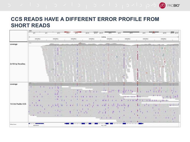 CCS READS HAVE A DIFFERENT ERROR PROFILE FROM
SHORT READS

