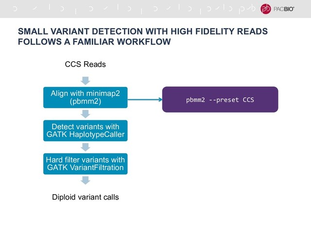 SMALL VARIANT DETECTION WITH HIGH FIDELITY READS
FOLLOWS A FAMILIAR WORKFLOW
CCS Reads
Align with minimap2
(pbmm2)
Detect variants with
GATK HaplotypeCaller
Hard filter variants with
GATK VariantFiltration
Diploid variant calls
pbmm2 --preset CCS
