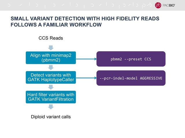 SMALL VARIANT DETECTION WITH HIGH FIDELITY READS
FOLLOWS A FAMILIAR WORKFLOW
CCS Reads
Align with minimap2
(pbmm2)
Detect variants with
GATK HaplotypeCaller
Hard filter variants with
GATK VariantFiltration
Diploid variant calls
pbmm2 --preset CCS
--pcr-indel-model AGGRESSIVE
