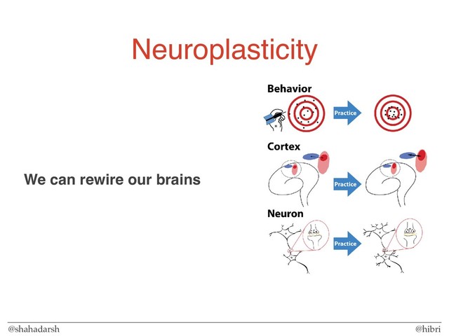 @shahadarsh @hibri
Neuroplasticity
We can rewire our brains
