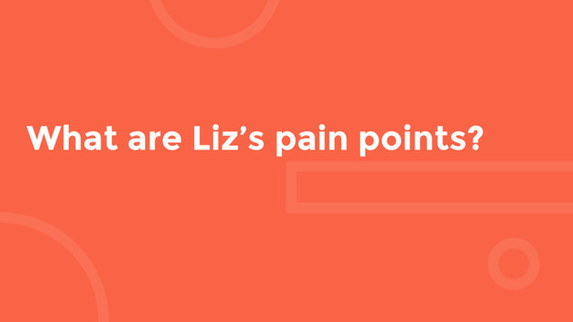 What are Liz’s pain points?
