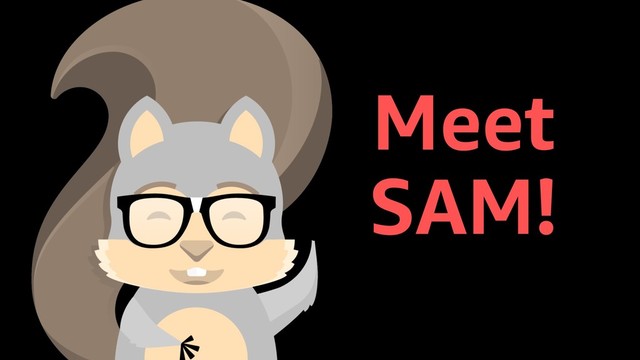 Meet
SAM!
