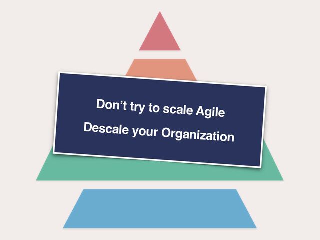 Project Manager /
 
Product Manager /


Product Owner
Don’t try to scale Agile
Descale your Organization
