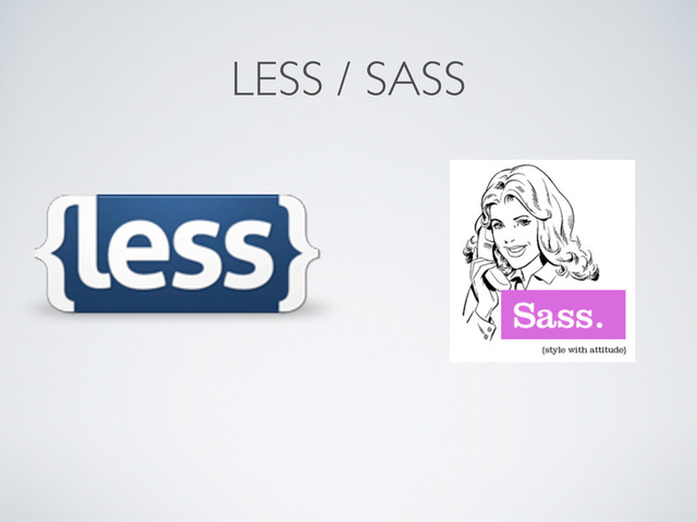 LESS / SASS
