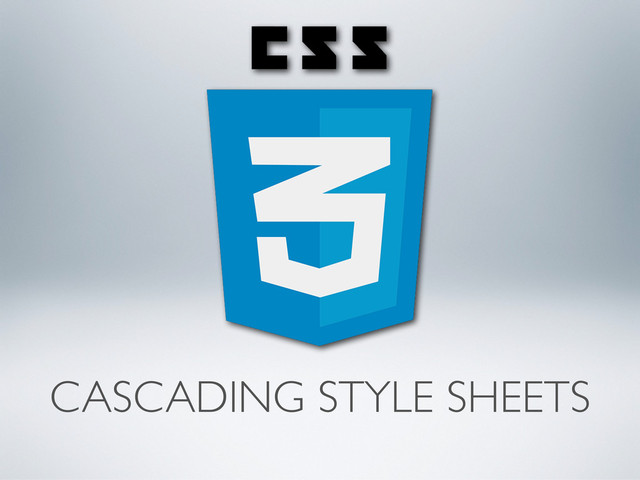 CASCADING STYLE SHEETS

