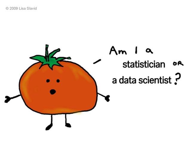 statistician
a data scientist
© 2009 Lisa Slavid
