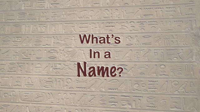 What’s
In a
Name?
