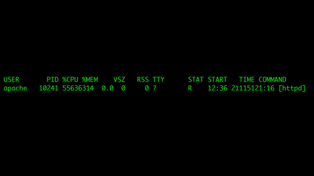 USER PID %CPU %MEM VSZ RSS TTY STAT START TIME COMMAND
apache 10241 55636314 0.0 0 0 ? R 12:36 21115121:16 [httpd]
