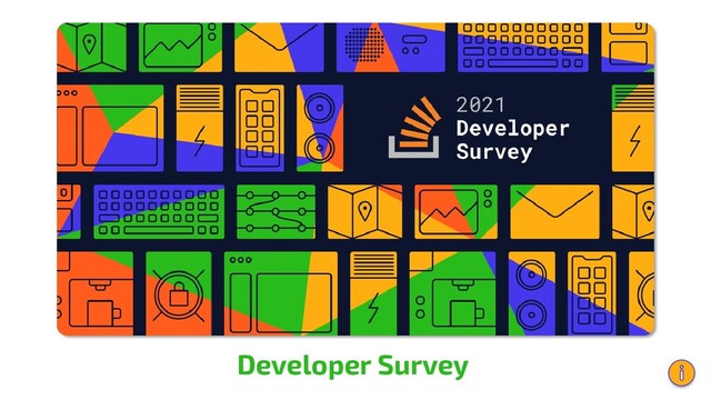 Developer Survey
