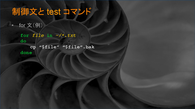 制御文と test コマンド	
•  for 文（例）
for file in ~/*.txt
do
cp “$file” “$file”.bak
done	

