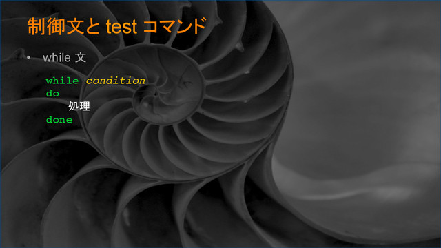 制御文と test コマンド	
•  while 文
while condition
do
処理
done	
