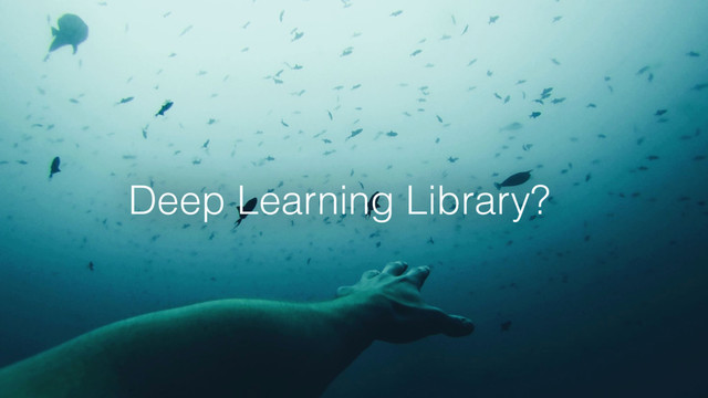 Deep Learning Library?
