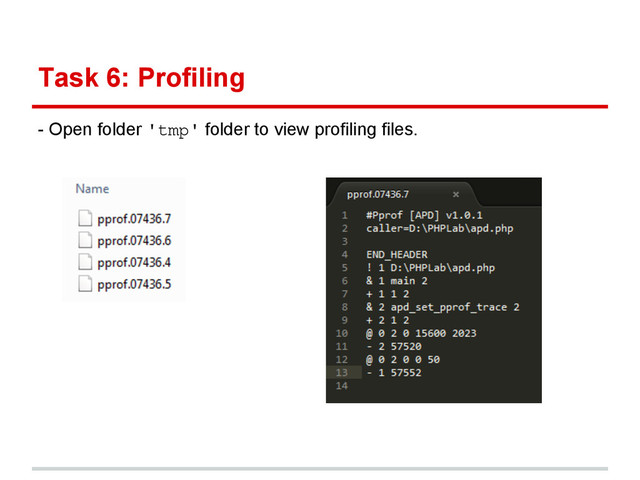 Task 6: Profiling
- Open folder 'tmp' folder to view profiling files.
