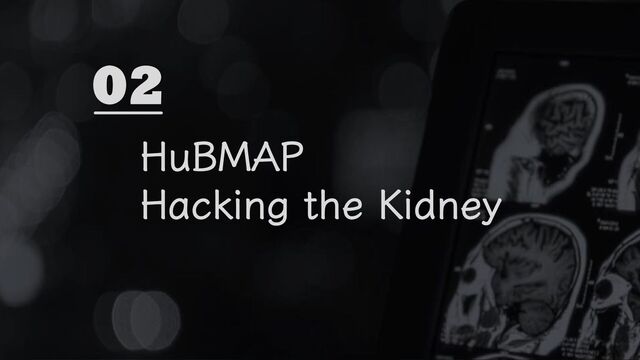 HuBMAP
Hacking the Kidney
02
