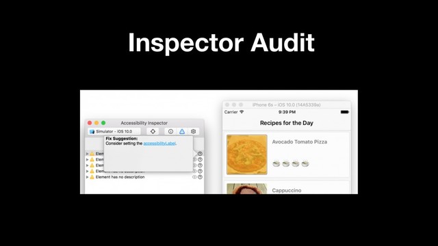 Inspector Audit
