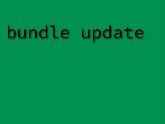 bundle update
