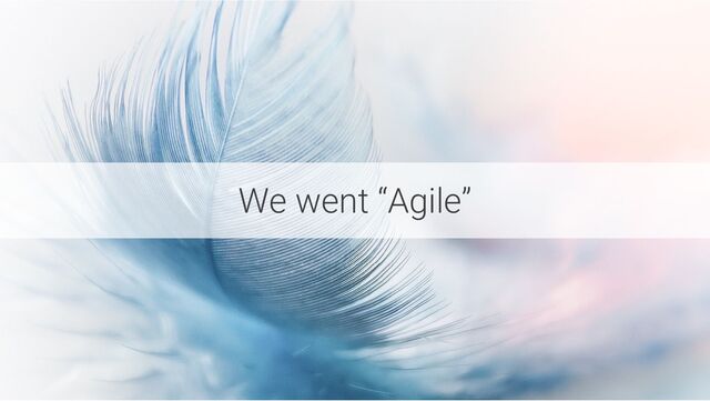 We went “Agile”
