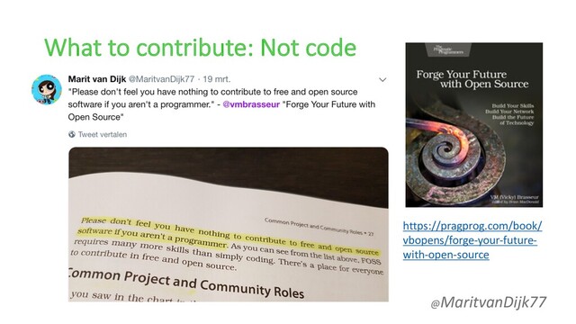 What to contribute: Not code
@MaritvanDijk77
https://pragprog.com/book/
vbopens/forge-your-future-
with-open-source
