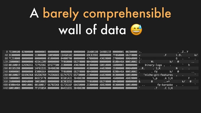 A barely comprehensible
wall of data 
