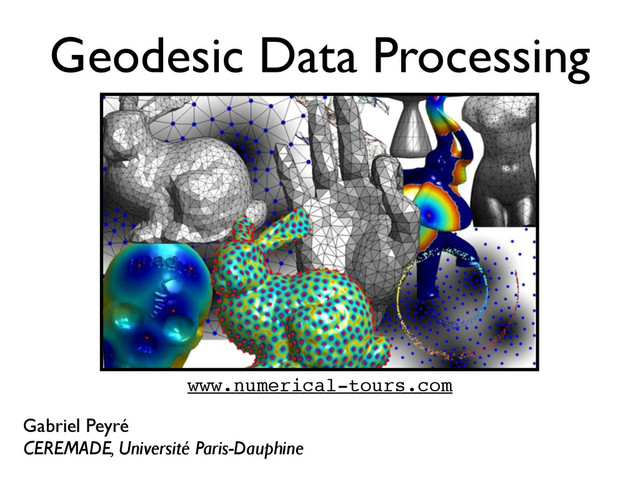 Geodesic Data Processing
Gabriel Peyré
CEREMADE, Université Paris-Dauphine
www.numerical-tours.com

