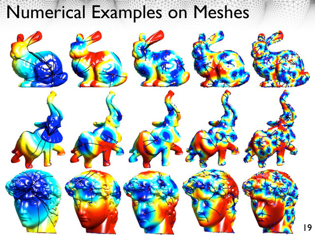 Numerical Examples on Meshes
19

