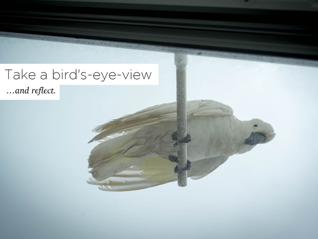 Take a bird's-eye-view
…and reflect.
