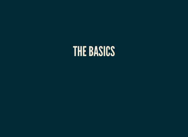 THE BASICS
