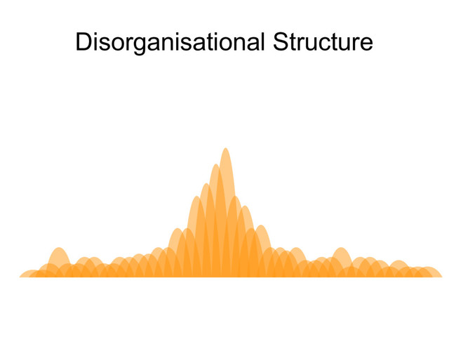 Disorganisational Structure
