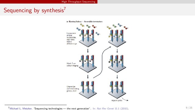High Throughput Sequencing
Sequencing by synthesis7
7Michael L. Metzker. “Sequencing technologies — the next generation”. In: Nat Rev Genet 11.1 (2010). 9 / 25
