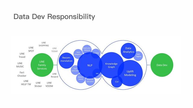 Data Dev Responsibility
