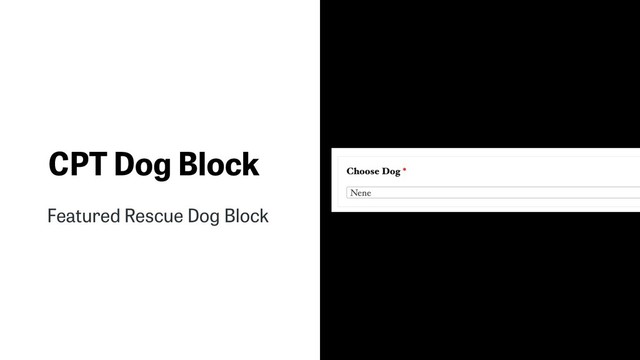 CPT Dog Block
Featured Rescue Dog Block
