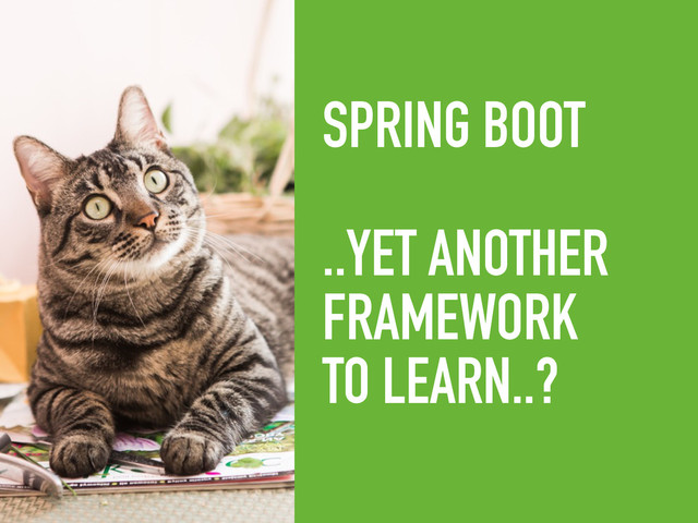 SPRING BOOT
..YET ANOTHER
FRAMEWORK
TO LEARN..?
